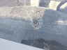 JN1BY1AR4CM****** Salvage and Repairable 2012 Infiniti M37x in North Carolina State