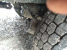 1NKZX4TX8SJ****** Reparables 2025 Kenworth T880