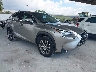 JTJBARBZXG2****** Salvage and Wrecked 2016 Lexus NX in Tampa