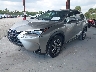 JTJBARBZXG2****** Used and Repairable 2016 Lexus NX in Tampa