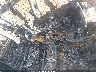 JTMABACAXRA****** Usados y Reparables 2024 Toyota BZ4X en Estado de Maryland