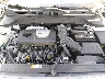 KM8K53A58LU****** Reparables 2020 Hyundai Kona en Suffolk