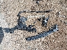 5NPEJ4J29NH****** Used and Repairable 2022 Hyundai Sonata in Houston North