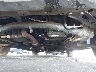 5FNYF3H95AB****** Wrecked 2010 Honda Pilot