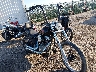 1HD1BVB166Y****** Salvage and Wrecked 2006 Harley-Davidson Fxsti in Rec Rides Online Exclusive