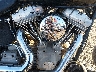 1HD1BVB166Y****** Wrecked 2006 Harley-Davidson Fxsti in Rec Rides Online Exclusive