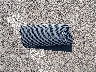 WAUBGAFL0GA****** Wrecked 2016 Audi S4 in Oregon State
