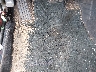 4T1BK46K08U****** Salvage and Repairable 2008 Toyota Camry in Hawaii State