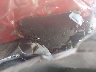 2HGFC2E80KH****** Salvage 2019 Honda Civic