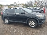 2HKRM4H58FH****** Wrecked 2015 Honda CR-V in Virginia State