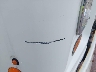 1F66F5KY5F0****** Wrecked 2015 Ford Commercial Chassis