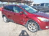 1FMCU0J99EU****** Salvage and Repairable 2014 Ford Escape in Texas State
