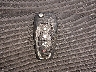 1G1BE5SM2H7****** Salvage 2017 Chevrolet Cruze in New York State