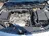 1G11E5SA5DF****** Repairable 2013 Chevrolet Malibu in Tampa North