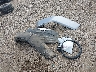 1C4HJXFG3KW****** Wrecked 2019 Jeep Wrangler in Texas State