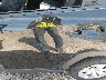 2T3H1RFV9MW****** Repairable 2021 Toyota RAV4