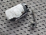 2GNALBEC0B1****** Salvage 2011 Chevrolet Equinox in Oregon State