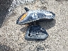 KL7CJPSB8JB****** Wrecked 2018 Chevrolet Trax in Kansas State