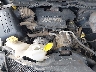 1D7HU18D25S****** Repairable 2005 Dodge Ram 1500 in Casper