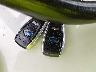 JF2GTHNC3M8****** Salvamento 2021 Subaru Crosstrek en Estado de Oklahoma
