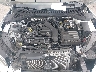 3VWBM7BU4RM****** Repairable 2024 Volkswagen Jetta in Elkton