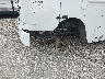 1F66F5KY6F0****** Usados y Reparables 2015 Ford Commercial Chassis en Kansas City
