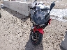 ML5EXGG12RD****** Usados y Reparables 2024 Kawasaki Ninja 500 en Estado de Arizona