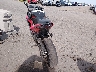 ML5EXGG12RD****** Salvamento y Reparables 2024 Kawasaki Ninja 500 en Estado de Arizona