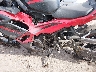 ML5EXGG12RD****** Usados 2024 Kawasaki Ninja 500 en Rec Rides Online Exclusive