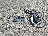 WBY1Z4C50FV****** Wrecked 2015 BMW I3 in Hawaii State