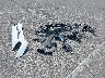 NM0LS6F77F1****** Destrozados 2015 Ford Transit Connect en Estado de Indiana