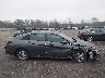 KMHLL4DG1SU****** Repairable 2025 Hyundai Elantra in New Jersey State