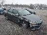 KMHLL4DG1SU****** Salvage and Wrecked 2025 Hyundai Elantra in Southern New Jersey
