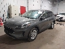 1FMCU9G68MU****** Usados y Reparables 2021 Ford Escape en Minneapolis Saint Paul