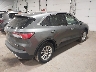 1FMCU9G68MU****** Salvamento y Destrozados 2021 Ford Escape en Estado de Minnesota