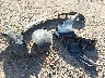 2LMHJ5FR5AB****** Wrecked 2010 Lincoln MKT in Arizona State