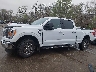 1FTFW1E59MK****** Salvage 2021 Ford F-150