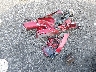 JM1DKDB78K1****** Destrozados 2019 Mazda CX-3 en Estado de Luisiana