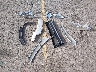 2T3DFREV1GW****** Wrecked 2016 Toyota RAV4 in Colorado State