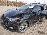 2T3DFREV1GW****** Used and Repairable 2016 Toyota RAV4 in Denver East