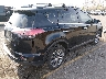 2T3DFREV1GW****** Salvage and Wrecked 2016 Toyota RAV4 in Colorado State