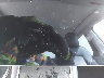 5YJYGDEE0MF****** Salvage 2021 Tesla Model Y