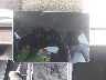 5YJYGDEE0MF****** Repairable 2021 Tesla Model Y