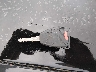 2B3KA43G47H****** Salvamento 2007 Dodge Charger en Estado de Illinois