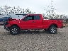 1FTFX1EF2EF****** Salvage 2014 Ford F-150