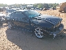 1FAFP42X5WF****** Salvage and Wrecked 1998 Ford Mustang in Greenville