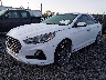 5NPE24AF8KH****** Used and Repairable 2019 Hyundai Sonata in Macon