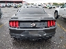 1FA6P8TD3L5****** Destrozados 2020 Ford Mustang