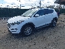 KM8J3CA47HU****** Used and Repairable 2017 Hyundai Tucson in Long Island