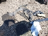1G1ZT62805F****** Wrecked 2005 Chevrolet Malibu in South Carolina State